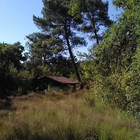 Maison Rustique Pres De Avec Piscine * Callen